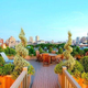 Illustration for article titled How to Build a Beautiful and Sustainable Roof-Top Garden